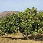 Περιοχές Natura: Στα 2 δισ. ευρώ τα δυνητικά οφέλη από την αξιοποίησή τους – Η Ελλάδα διαθέτει 446 τέτοιες