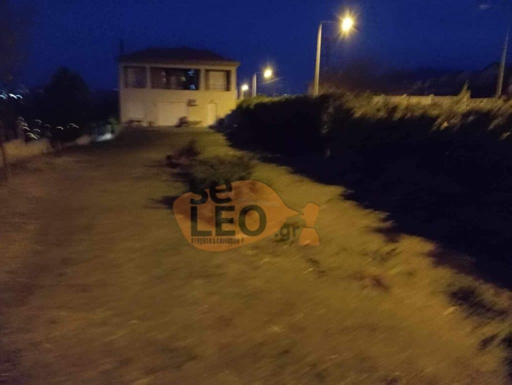 Τραγωδία στη Θεσσαλονίκη: Μητέρα δύο παιδιών η άτυχη 50χρονη που την κατασπάραξαν σκυλιά – Σοκ