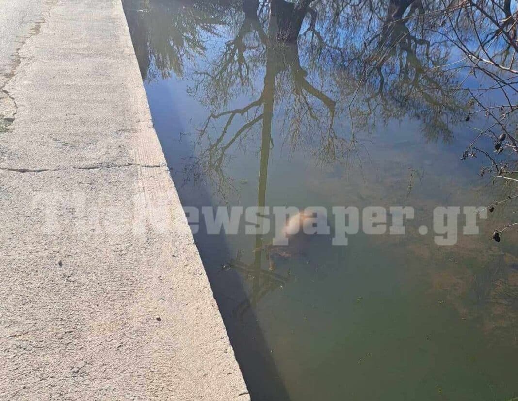 Εσωτερική εικόνα άρθρου