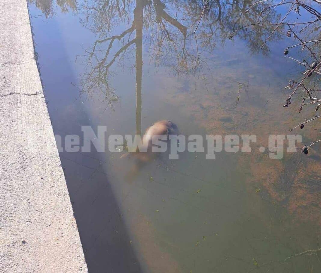 Εσωτερική εικόνα άρθρου