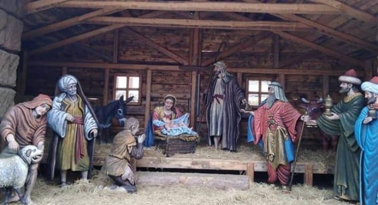 Βόλος: Εισαγγελική παρέμβαση για τα ζωντανά ζώα στις φάτνες