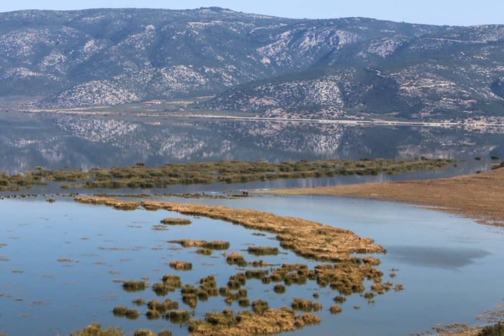 Λίμνη Κάρλα: Σχεδιάζεται η δημιουργία μιας νέας – Πώς θα λειτουργεί