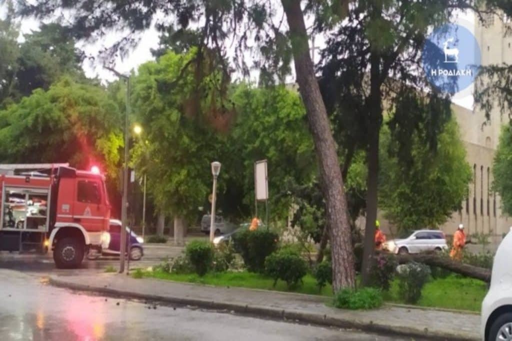 Ρόδος – κακοκαιρία: Πτώσεις δέντρων και διακοπές ρεύματος – Στο νησί των Ιπποτών το μεγα