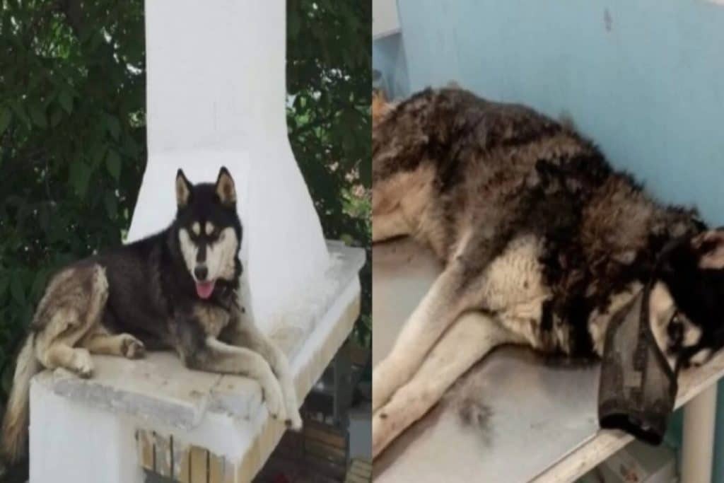 Δεν είναι μόνο η κακοποίηση στην Αράχωβα – 5 εγκλήματα που συγκλόνισαν το πανελλήνιο