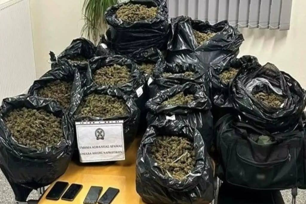 Θεσσαλονίκη: Πάνω από 61 κιλά κάνναβης βρέθηκαν σε σπίτι – Τα εντόπισε αστυνομικός-σκύλος