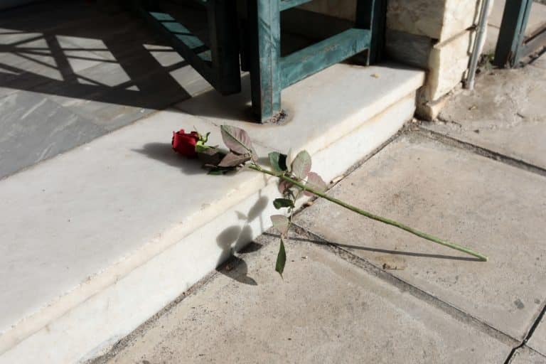 Νέα Σμύρνη: «Αγαπιόντουσαν, αλλά υπήρχε ζήλεια» λέει η σύντροφος του 18χρονου αδελφοκτόνου