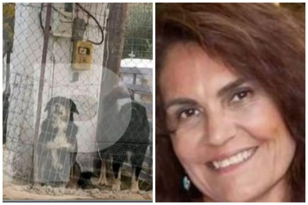 Θεσσαλονίκη: Συγκλονίζει ο κωφάλαλος κηπουρός – «Τα σκυλιά την είχαν δαγκώσει παντού, πόνεσε η