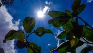 Χειμερινό ηλιοστάσιο