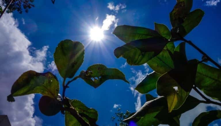 Χειμερινό ηλιοστάσιο