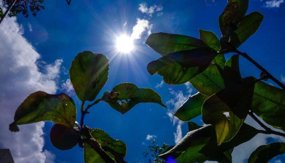 Χειμερινό ηλιοστάσιο
