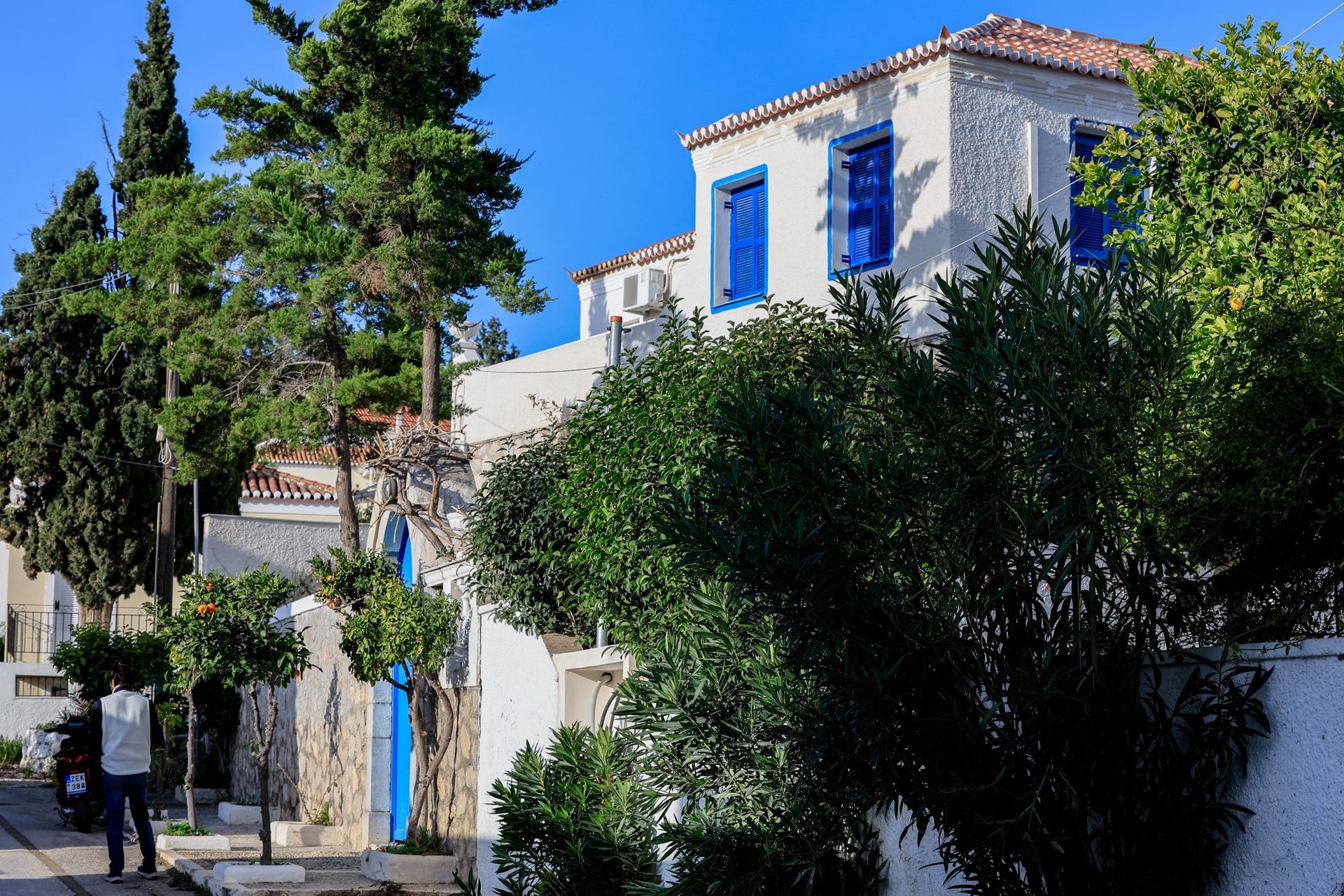 Εσωτερική εικόνα άρθρου