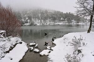 Κακοκαιρία Avgi