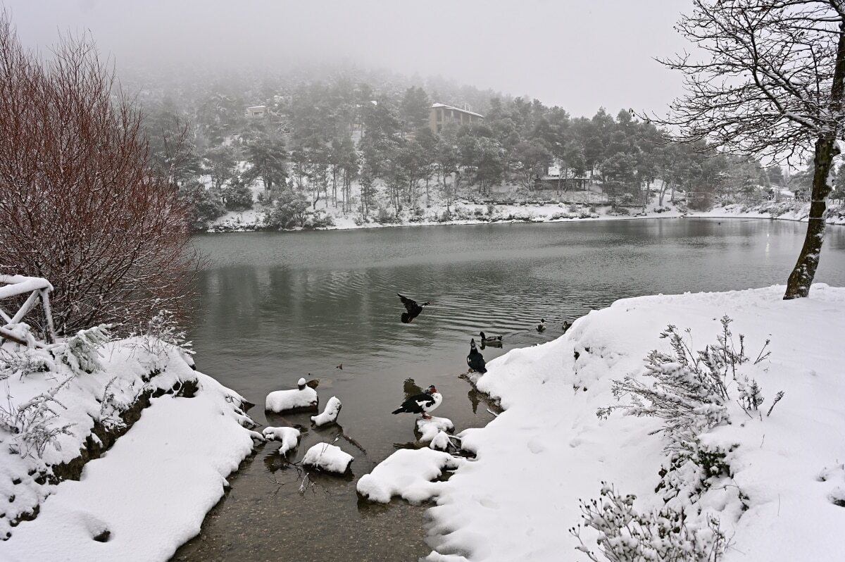 Κακοκαιρία Avgi