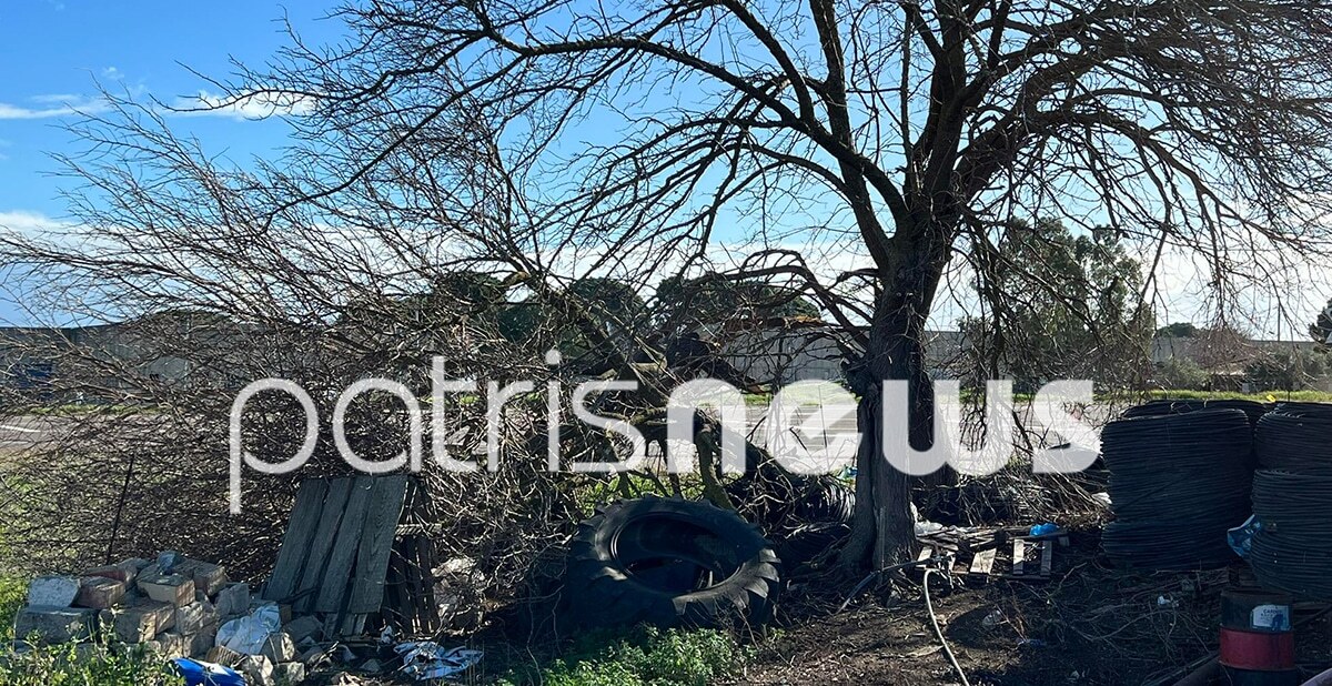 Ανεμοστρόβιλο