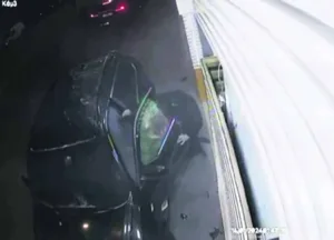 Νέος Κόσμος