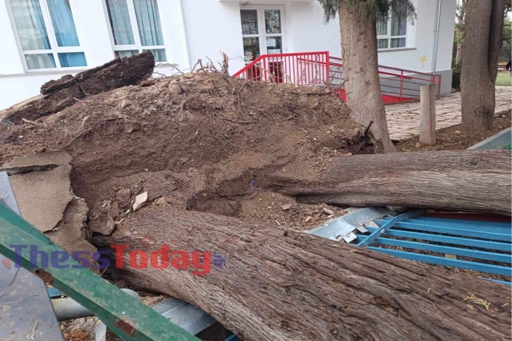 Καιρός – Θεσσαλονίκη: Οι θυελλώδεις άνεμοι ξήλωσαν καγκελόπορτα σχολείου [εικόνες]