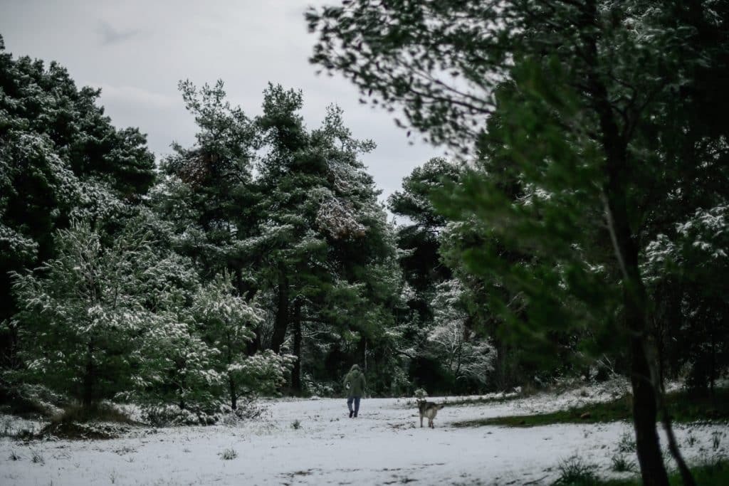 Νέο έκτακτο της ΕΜΥ για την κακοκαιρία – Παγετός μέχρι τη Παρασκευή  (17/1)