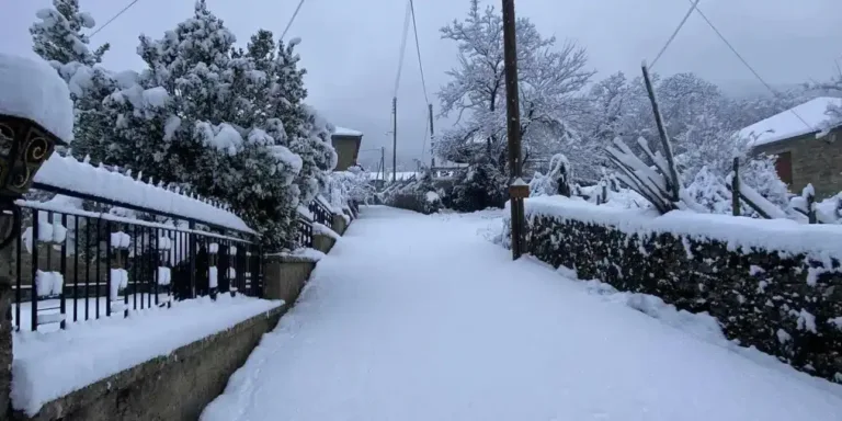 Η Οδύσσεια ενός 14χρονου μαθητή σε 1.000 μέτρα υψόμετρο, στο Ανατολικό Ζαγόρι