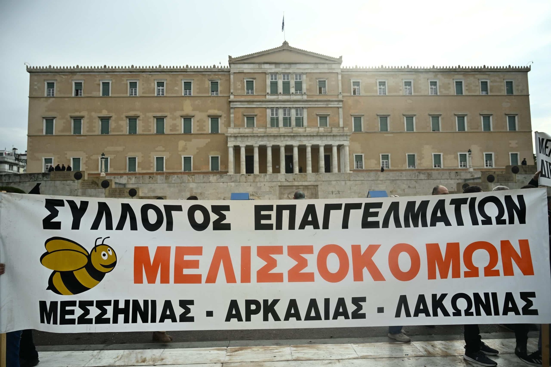 Εσωτερική εικόνα άρθρου
