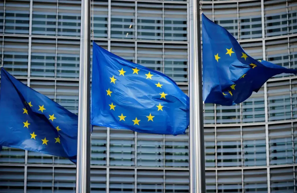 ΕΕ: Ποινικοποιούνται ο αναγκαστικός γάμος, η παράνομη υιοθεσία και η εκμετάλλευση της παρένθετης μητρότητας