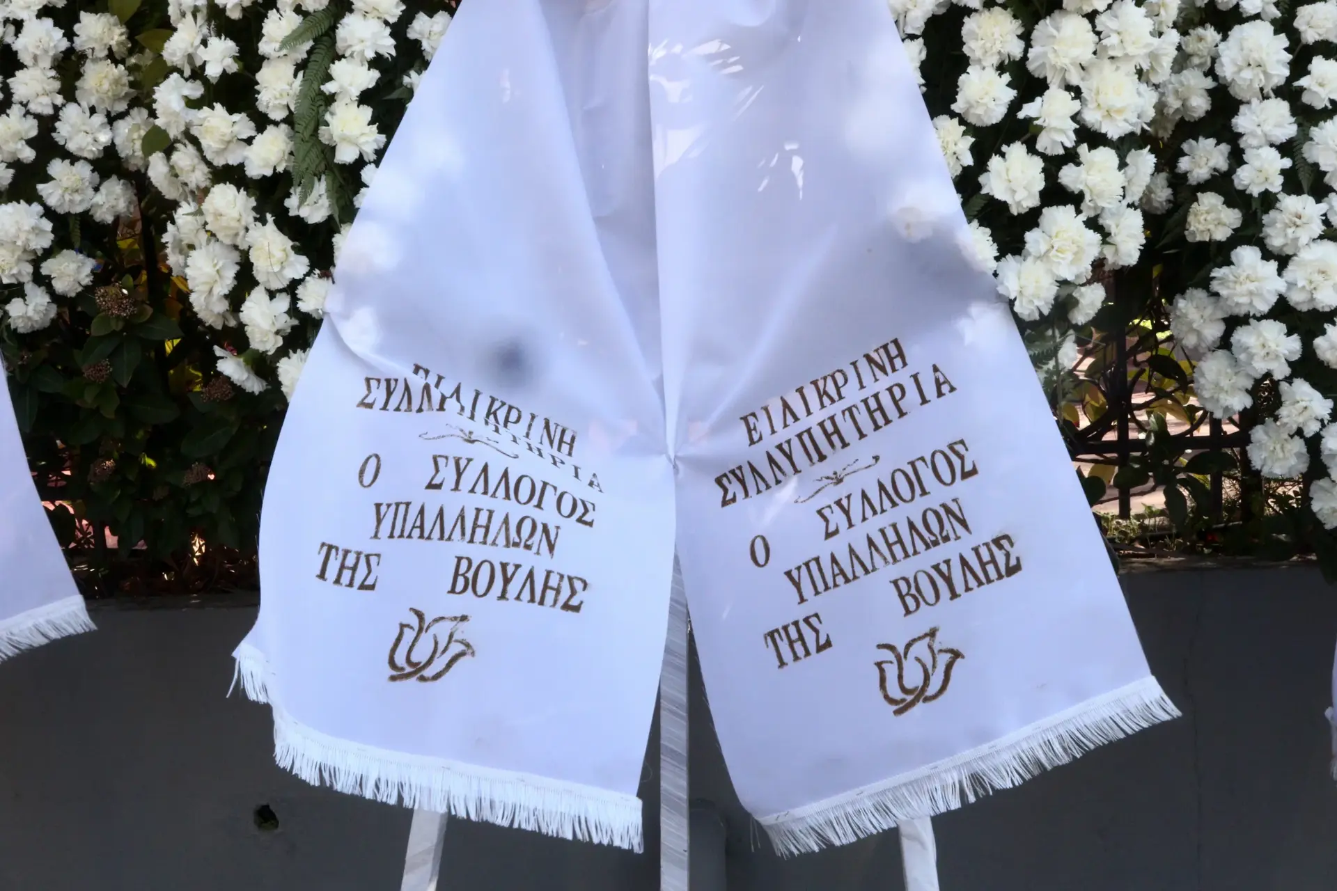 Εσωτερική εικόνα άρθρου