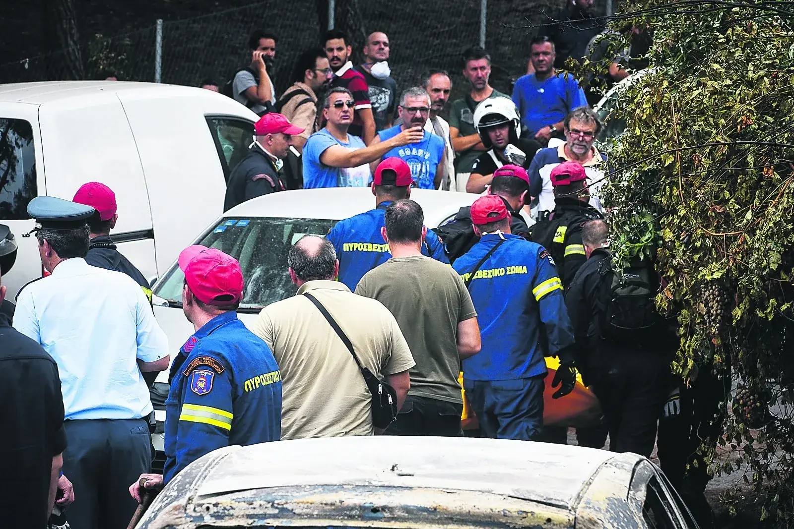 Εσωτερική εικόνα άρθρου
