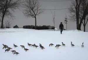 χιονοθύελλα
