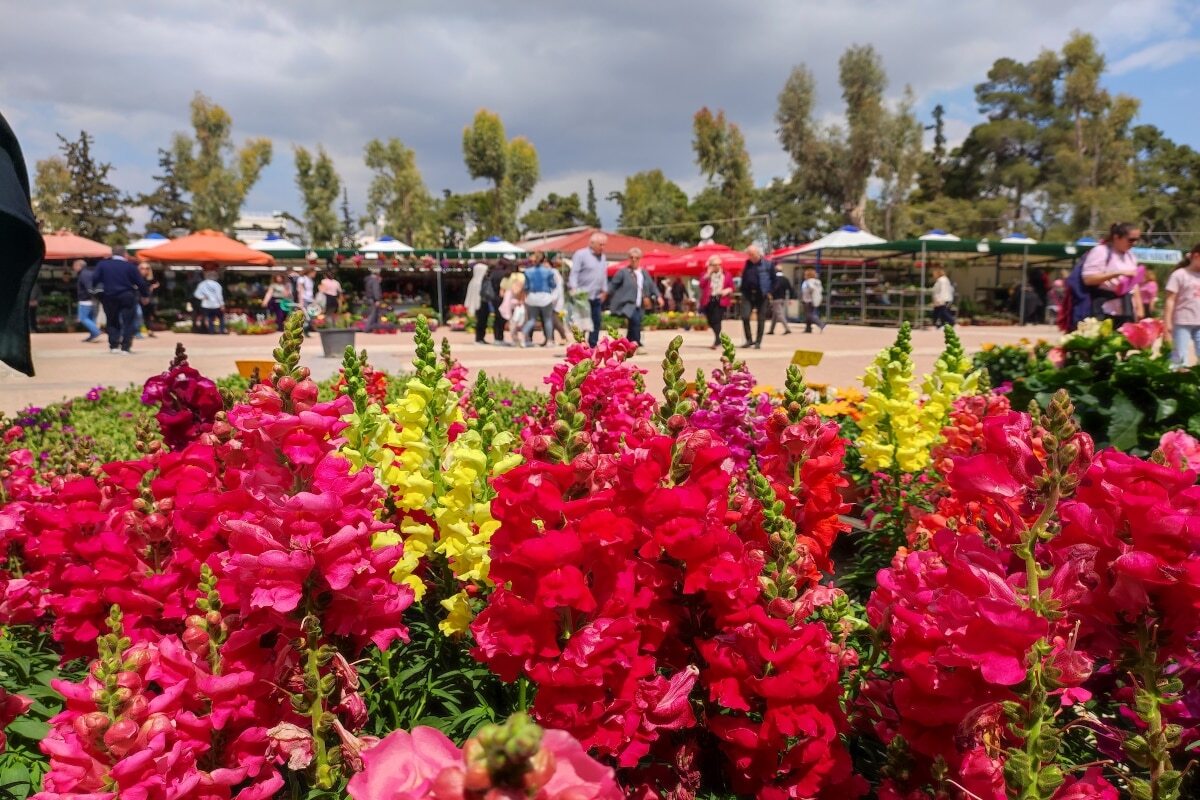 Ο λόγος που η αργία για την Πρωτομαγιά 2024 μεταφέρθηκε άλλη μέρα-Αυτή είναι η νέα ημερομηνία εορτασμού Η Πρωτομαγιά 2024 πέφτει φέτος