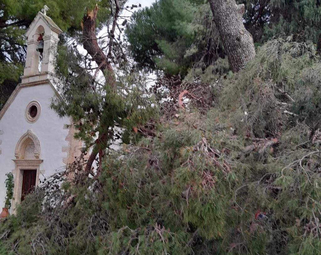 Οι ισχυροί άνεμοι έριξαν δέντρα στη Κρήτη – Πώς «σώθηκε» το εκκλησάκι του προφήτη Ηλία [Εικόνε