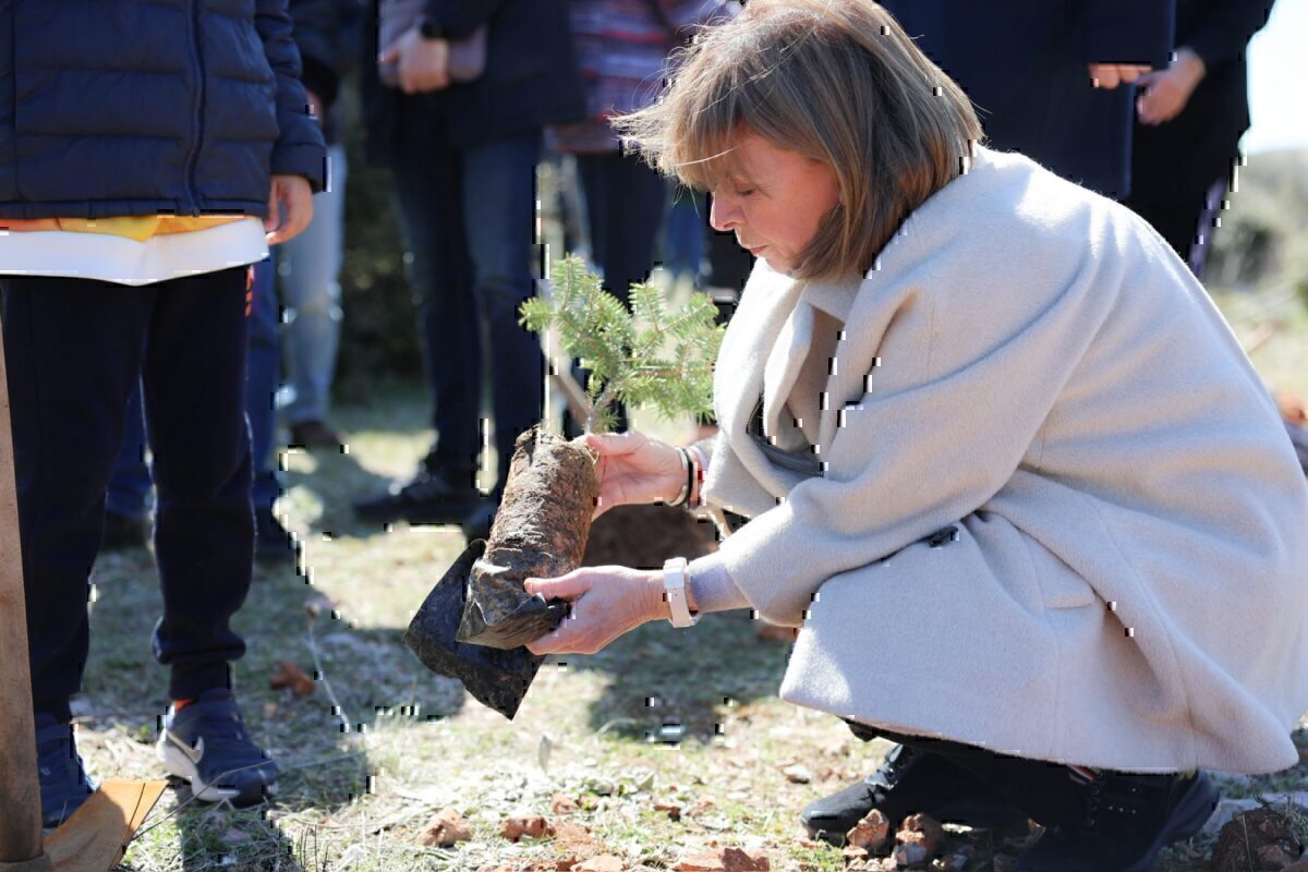 Κατερίνα Σακελλαροπούλου