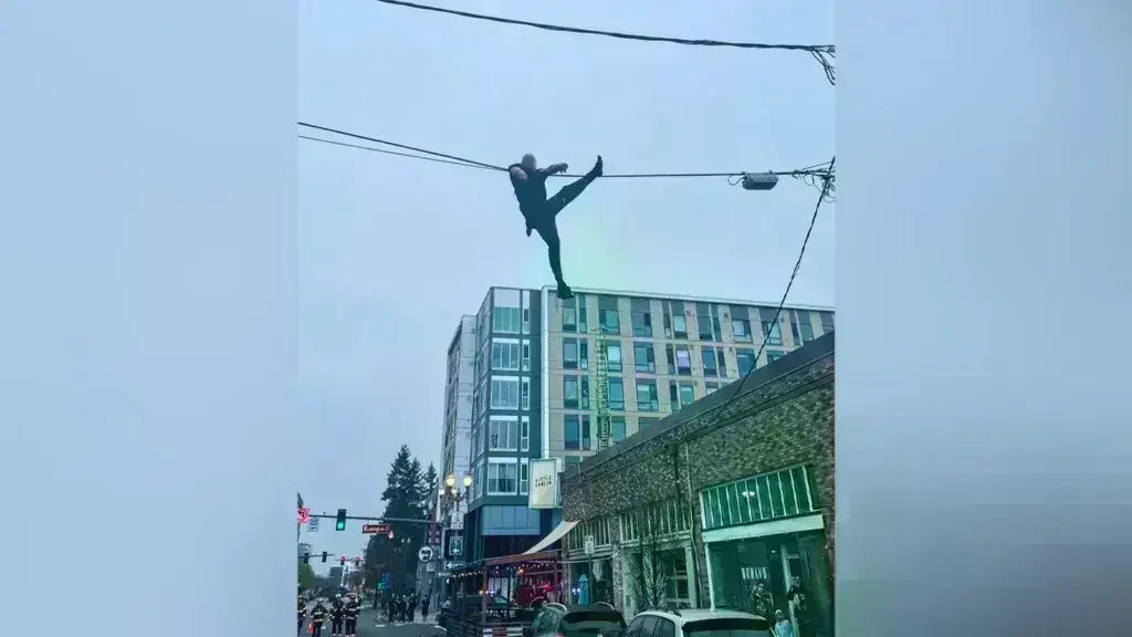 Κλέφτης αλά… Spiderman: Σκαρφάλωσε σε τηλεφωνικό καλώδιο για να σωθεί!