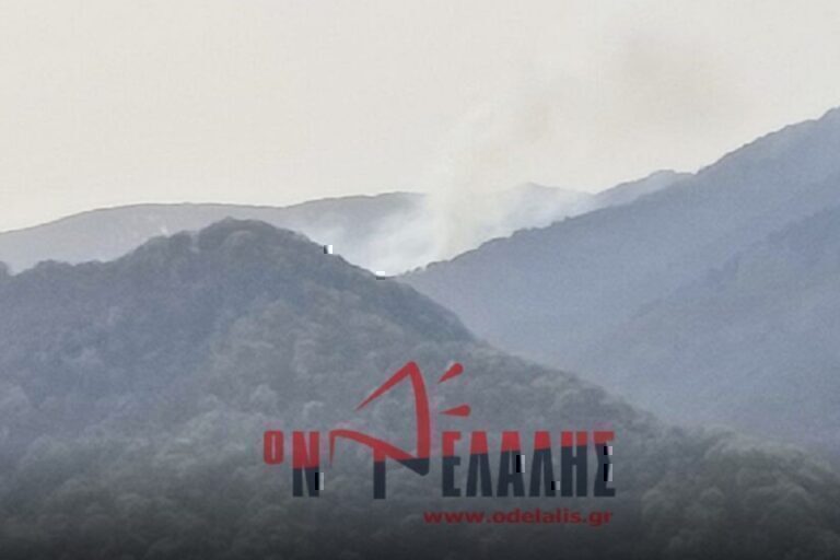 Μεγάλη φωτιά τώρα στην Κατερίνη – Σηκώθηκε αεροσκάφος