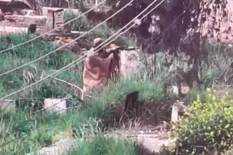 Πόλεμος στο Ισραήλ: Παλαιστίνιος ιμάμης σκοτώθηκε αφού άνοιξε πυρ σε εβραϊκό οικισμό [βίντεο]