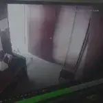 Λεοπάρδαλη εμφανίστηκε μπροστά σε 12χρονο αγόρι μέσα σε γραφείο – Viral η αντίδρασή του [Βίντεο]