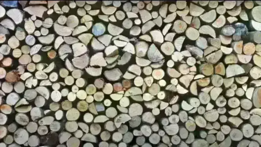 οφθαλμαπάτη