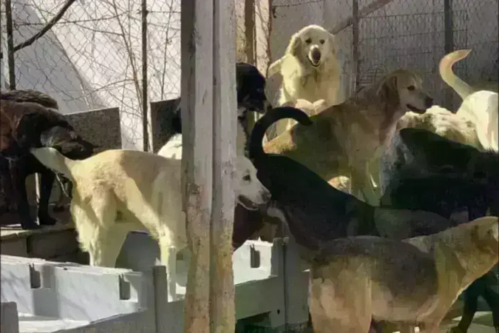 Θεσσαλονίκη