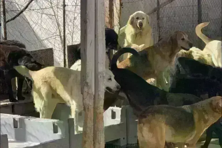 Θεσσαλονίκη