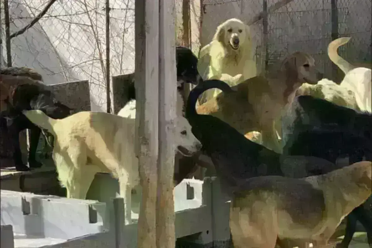 Θεσσαλονίκη