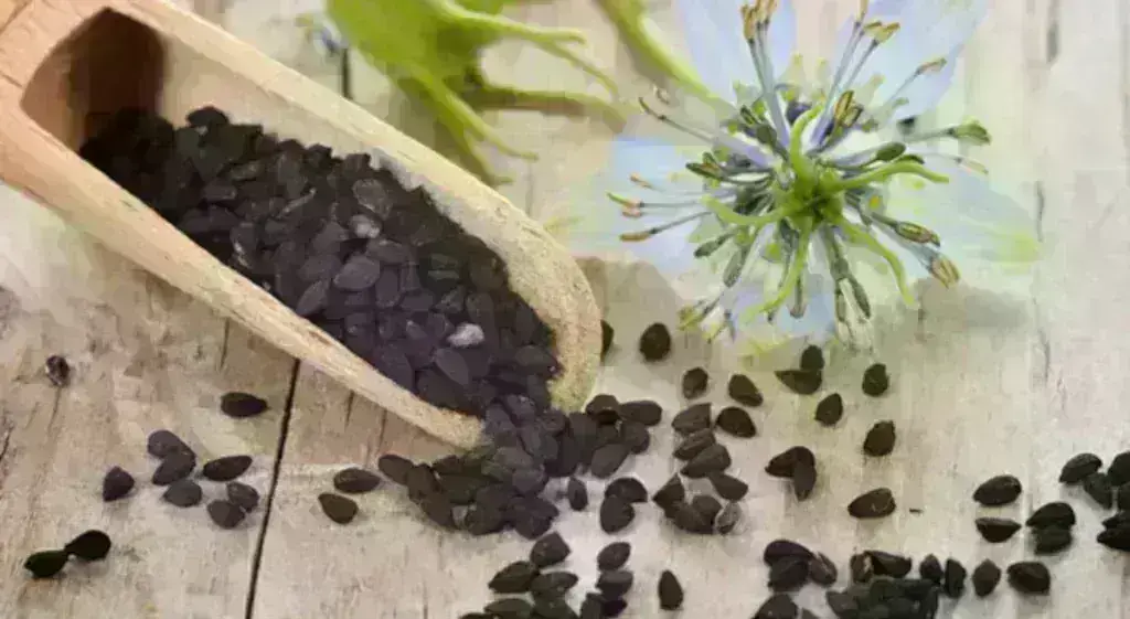 κύμινο φυτό