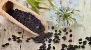 κύμινο φυτό