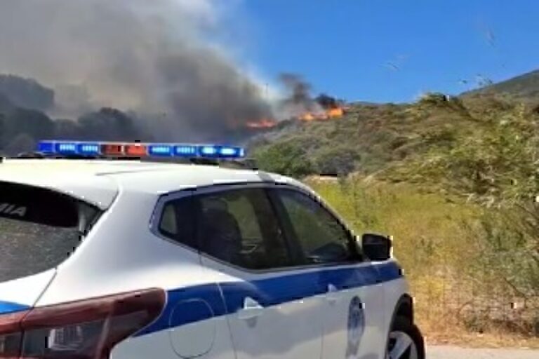 Φωτιά τώρα στην Σπάρτη – Επιχειρούν εναέρια μέσα