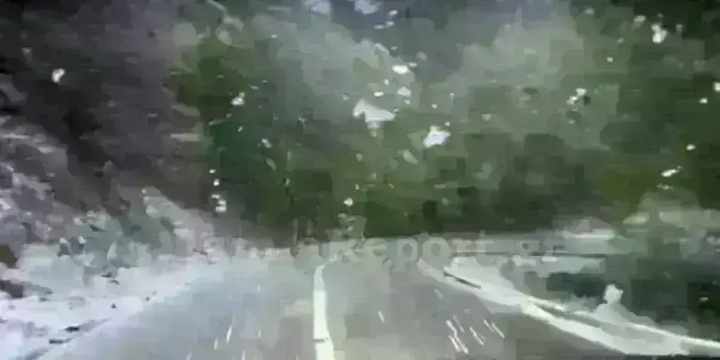 Χιόνισε στην Φθιώτιδα [βίντεο]