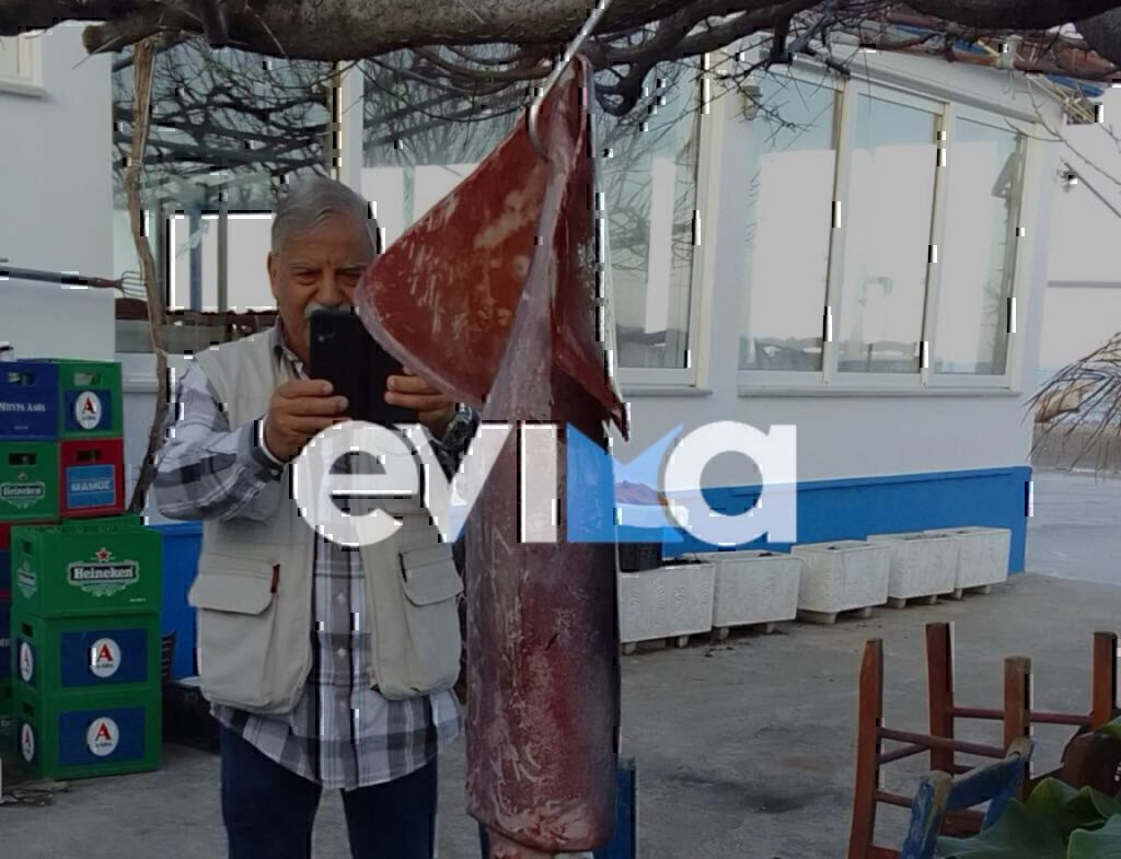 Εύβοια: Ψάρεψε γιγάντιο καλαμάρι με βάρος 15 κιλά – Δείτε εικόνες