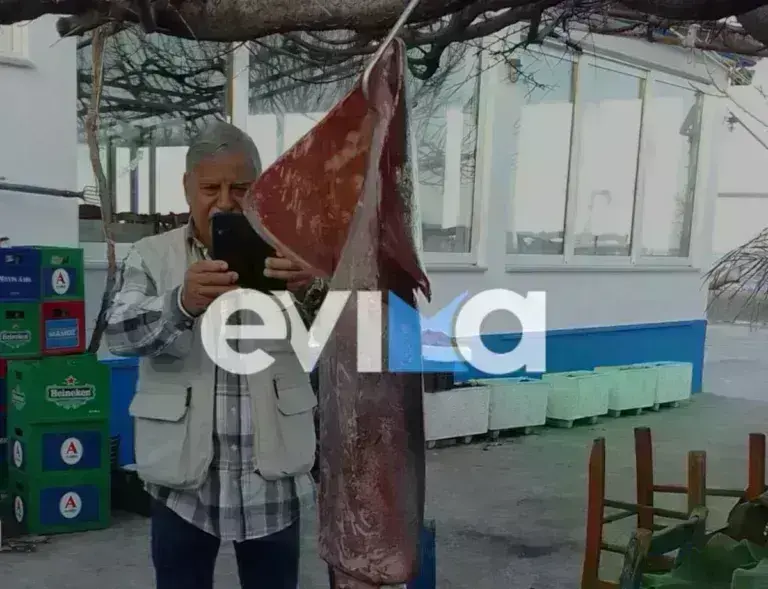 Εύβοια