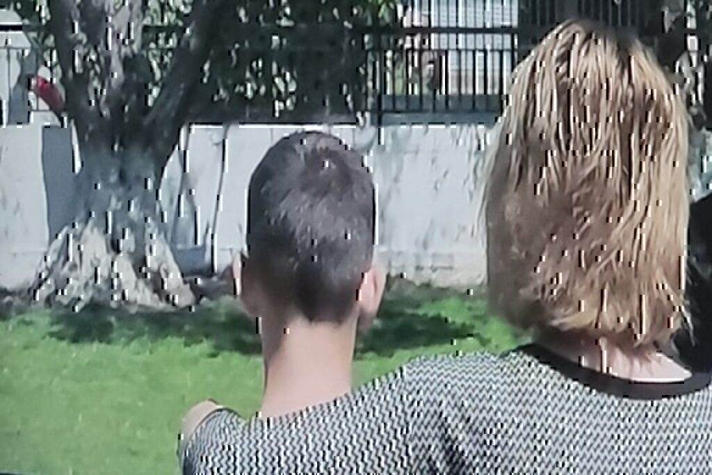 Πέλλα: Σοκάρει ο 14χρονος μαθητής – «Πριν σβήσει το τσιγάρο στο μάγουλό μου, προσπάθησε να με πνίξει με τη ζακέτα μου»