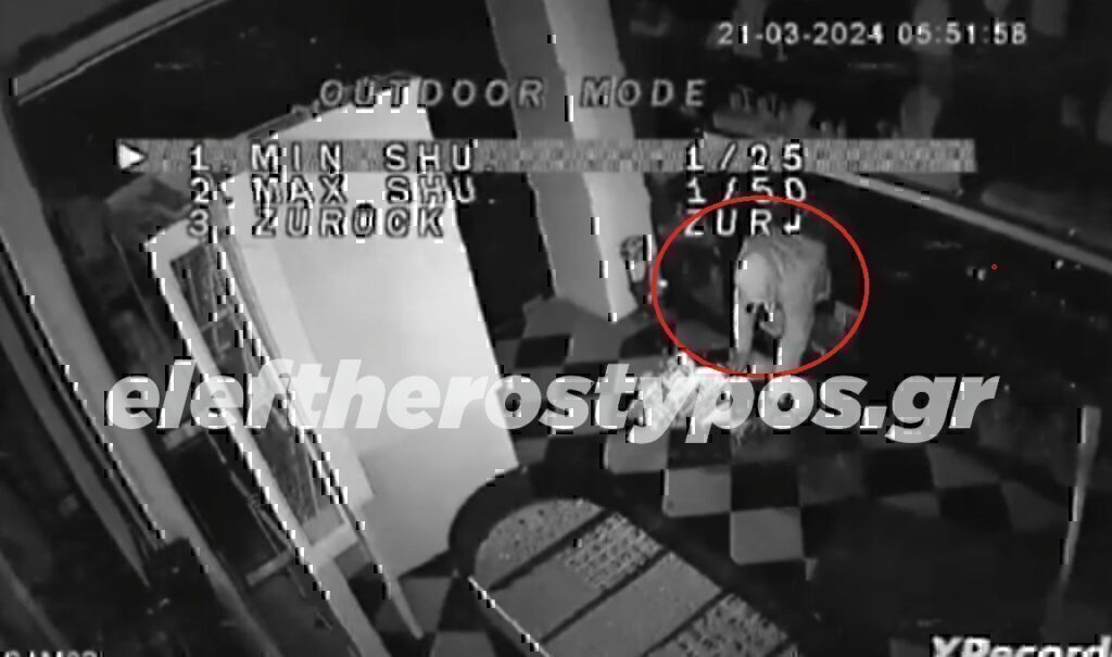 Ροζ Πάνθηρες: Βίντεο ντοκουμέντα από τα «ριφιφί» τους σε κοσμηματοπωλεία της Αθήνας