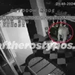 Ροζ Πάνθηρες: Βίντεο ντοκουμέντα από τα «ριφιφί» τους σε κοσμηματοπωλεία της Αθήνας