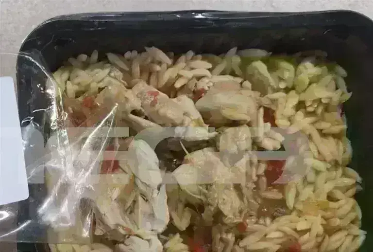 Λαμία: Σοκάρουν οι καταγγελίες για σκουλήκια, τρίχες και… πούπουλα σε μερίδες που δίνονταν στους μαθητές