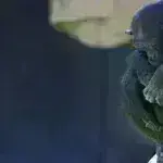 Ισπανία: Θλιμμένη μαμά χιμπατζίνα κρατά στα χέρια της το νεκρό μωρό της για μήνες