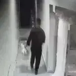 Βραυρώνα: Ελεύθερος ο 25χρονος που κατηγορείται για το νεογέννητο που είχε βρεθεί νεκρό στα σκουπίδια